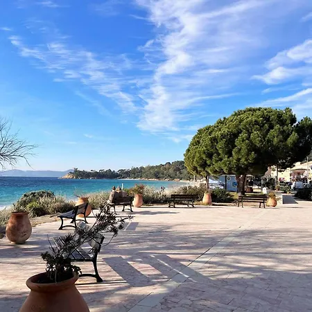 T2 Cabine, 6 Couchages, Terrasse Ouest, 100m Et Commerces, Parking Privatif - Fr-1-251-530 Le Lavandou